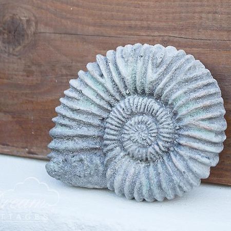 Ammonite Cottage Portland Exteriér fotografie